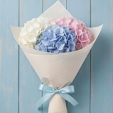 Букет цветов из:  Гортензия #REPLACE_PRED# Таштыпе