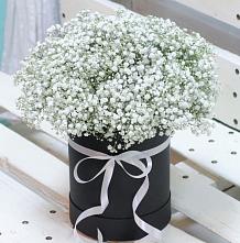 Цветочная композиция из Гипсофила в шляпной коробке #REPLACE_PRED# Таштыпе