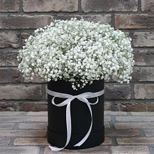 Цветочная композиция из Гипсофила в шляпной коробке в Таштыпе