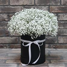 Цветочная композиция из Гипсофила в шляпной коробке в Таштыпе