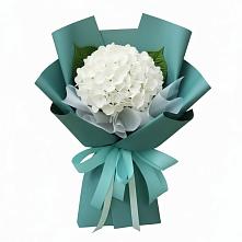 Букет цветов из:  Гортензия #REPLACE_PRED# Таштыпе